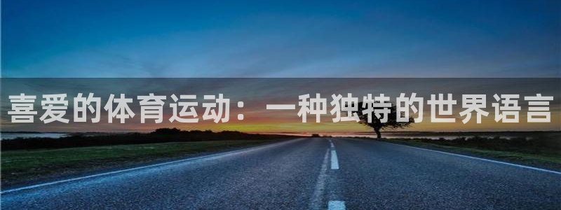 喜爱的体育运动：一种独特的世界语言