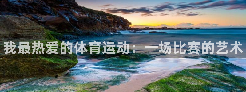 我最热爱的体育运动：一场比赛的艺术
