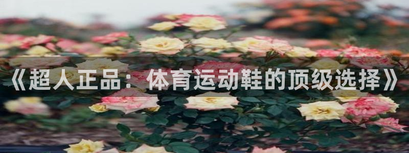 《超人正品：体育运动鞋的顶级选择》