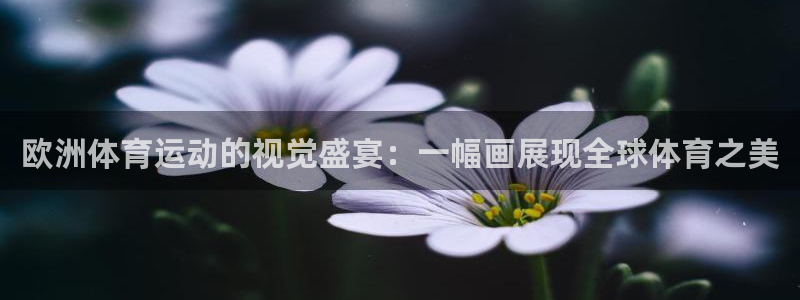 欧洲体育运动的视觉盛宴：一幅画展现全球体育之美