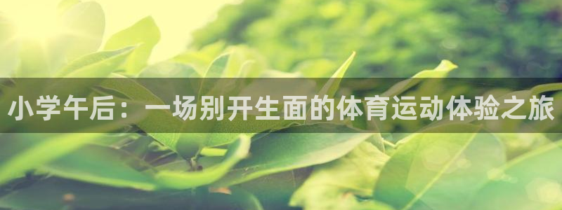 小学午后：一场别开生面的体育运动体验之旅