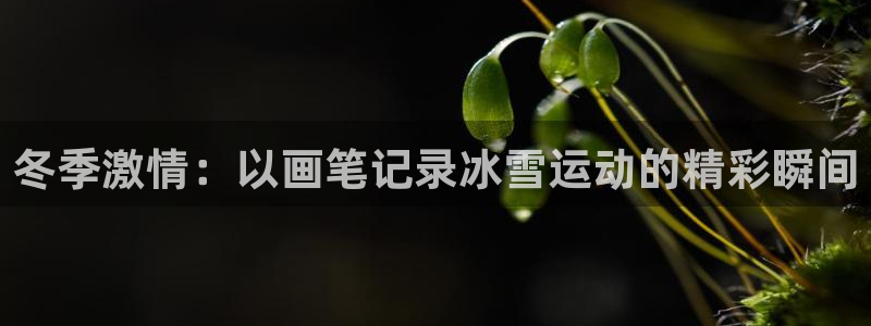 冬季激情：以画笔记录冰雪运动的精彩瞬间