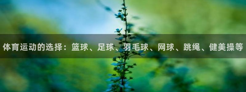 体育运动的选择：篮球、足球、羽毛球、网球、跳绳、健美操等