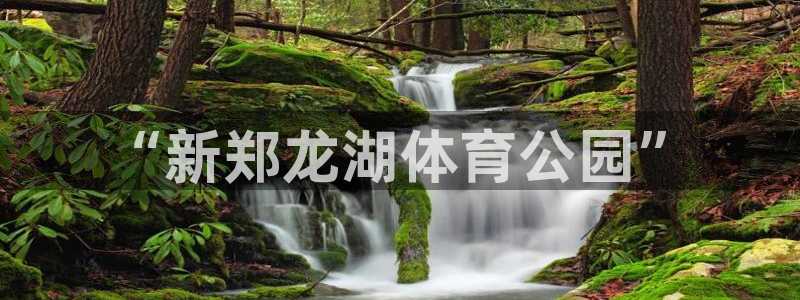 “新郑龙湖体育公园”