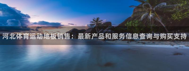 河北体育运动地板销售：最新产品和服务信息查询与购买支持