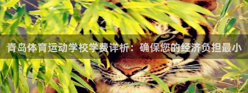 青岛体育运动学校学费详析：确保您的经济负担最小