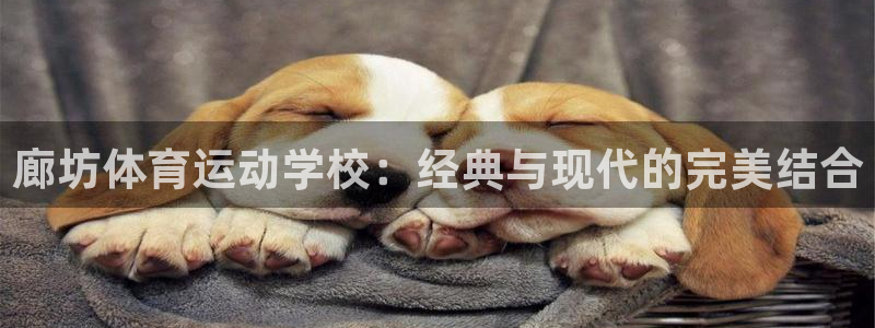 廊坊体育运动学校：经典与现代的完美结合