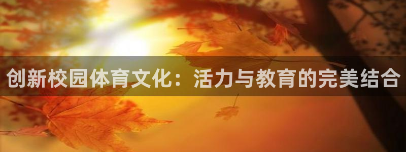 创新校园体育文化：活力与教育的完美结合