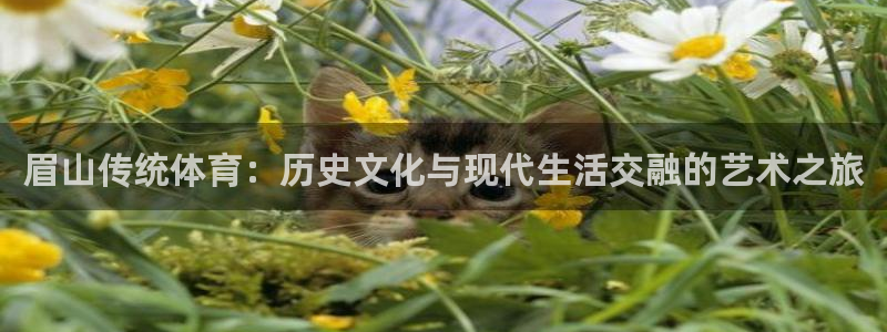 眉山传统体育：历史文化与现代生活交融的艺术之旅