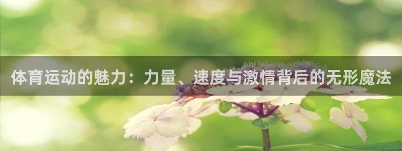 体育运动的魅力：力量、速度与激情背后的无形魔法